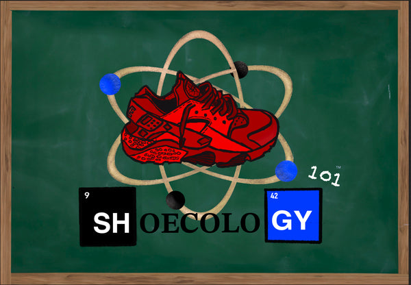 Shoecology 101